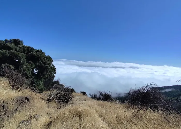 Appartement Mng-apart D-14 Mareverde