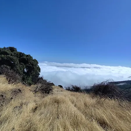 Apartmán Mng-apart D-14 Mareverde